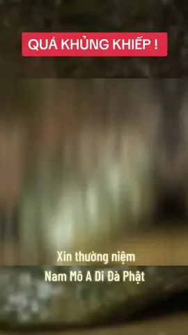 LIỆU LỜI TIÊN TRI VỀ NGÀY TẬN THẾ SẮP ĐẾN, RẮN HỔ MÂY, ÔNG NĂM CHÈO, ÔNG KÉT LÀ CÓ THẬT VÀ CÁC ÔNG ĐANG CHỜ NGÀY NGHIỆP QUẢ CHÚNG SANH CHÍN MÙI...AI CÒN SÁT SANH, SỐNG GIAN ÁC THÌ MAU THỨC TỈNH, QUAY ĐẦU HƯỚNG THIỆN MAU MAU...  - Đây hòn đá lớn có hình dạng giống đầu một con rắn khổng lồ, được tìm thấy bên bờ sông ở Phetchabun, Thái Lan #thứctỉnh #nuicam 