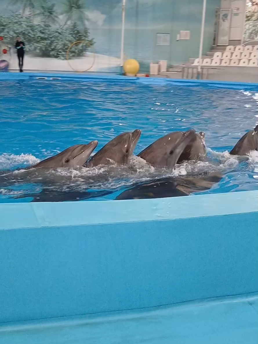 Паровозик едет к тебе😈