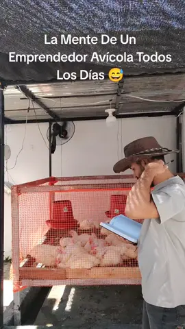 🐤Que Dicen Muchachos Los Esmechamos o No ?😅  #creatorsearchinsights #paratiiiiiiiiiiiiiiiiiiiiiiiiiiiiiii #pollosengorde #virall 