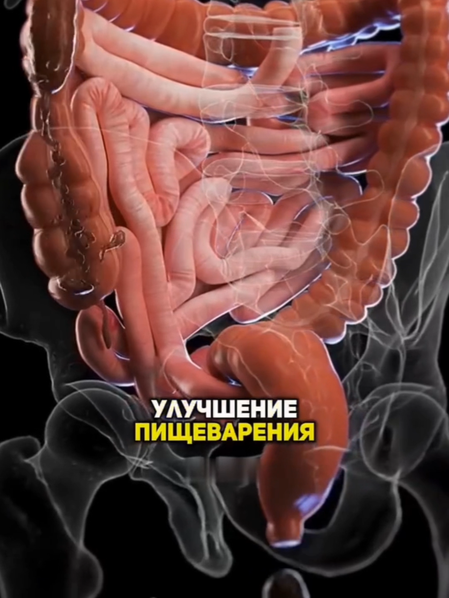💧 Если вы будете пить воду с гвоздикой каждый день — что произойдет? Рассказываю в ролике. Некоторые источники отмечают, что гвоздика может поддерживать пищеварение, помогать при ощущении тяжести и оказывать мягкое тонизирующее действие. Вода с гвоздикой часто упоминается как способ добавить организму бодрости и свежести. 📌 В моей авторской методике мы используем комплексный подход: психика, тело и питание. Это помогает мягко снижать вес и восстанавливать здоровье без жёстких диет и изнурительных тренировок. Подробнее — по ссылке в шапке профиля. ⚠️ Данный материал представлен исключительно в информационно-просветительских целях и не заменяет профессиональную медицинскую консультацию. #питание #похудение #правильноепитание #здоровоетело #запатентованнаяметодика #авторскийметодпохудения #Москва #Казань #Краснодар #Екатеринбург #РостовнаДону #Омск #Челябинск