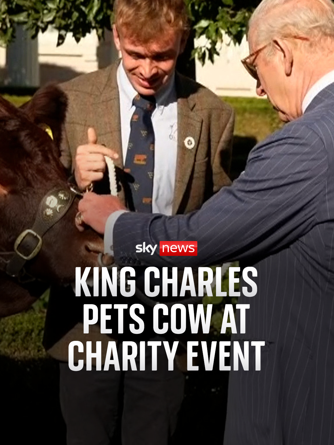 King Charles has met with organisations and charities supported by his charitable fund, the King Charles III Charitable Fund (KCCF), at Clarence House. #royalfamily #kingcharles #theking #ClarenceHouse