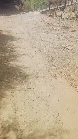 متنزه الركنية طريق بكوش لخضر