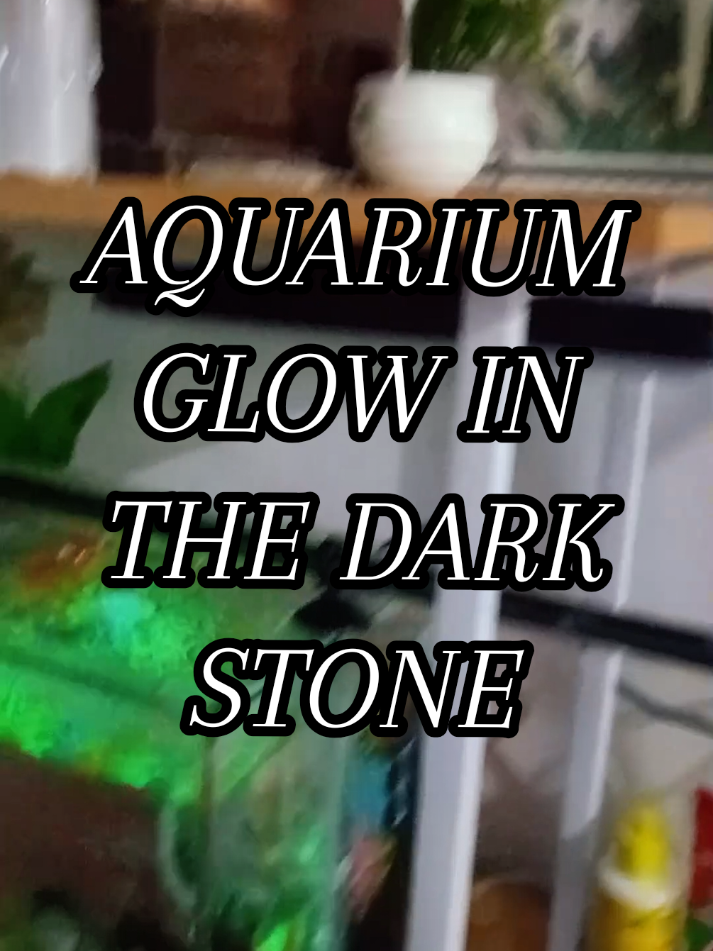 Bigyan mo ng buhay ang Aquarium mo gamit ang Glow in the dark Stone na to. #stone #glowinthedark  #aquarium #accessories #design 