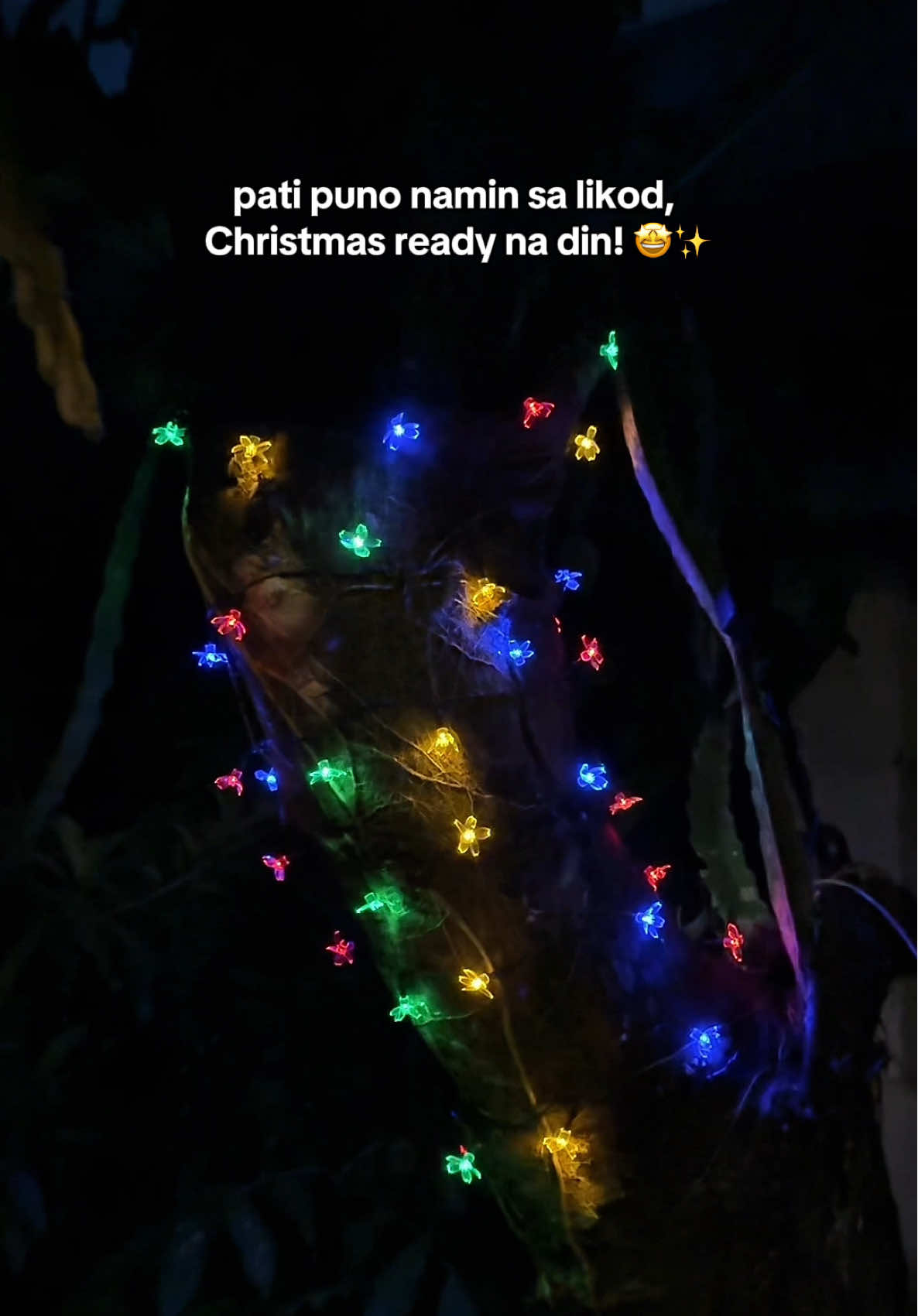 Flower Solar Lights 😍🌸🌼✨✨ #solarlights #solarledlights #flowersolarlights #christmassolarlights #blossomflowersolarlights 