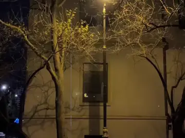 - এতো কথা বলি পাখি হয়ে উড়ে যায় সব তোমাকে ছুঁতে পারে না _!🥀 #lyricsvideo #songlyrics #musicvibes #foryoupage #marzia_song_lyrics  @aesthetic 