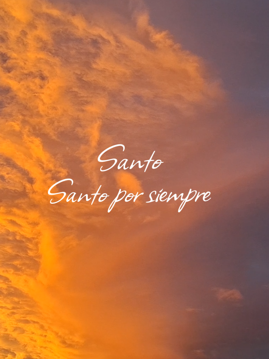 Jesús 🤍✨️ #santoporsiempre #holyforever #Dios #Diosesgrande #contenidocristiano @Miel San Marcos  @Chris Tomlin 