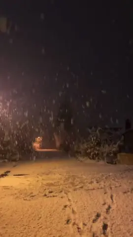❄️⛄️✨  #snow #winter #wintervibes #viralvideo #blowthisup 