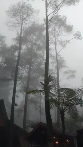 #fypシ゚viral #fypage #limpakuwuspurwokerto #healing 