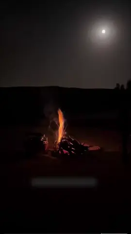 #اكسبلور #شيلات #ترند 