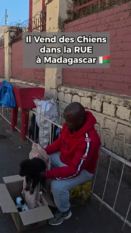 Il Vend des Chiens dans la RUE à Madagascar 🇲🇬 #vlogvoyage #malagasy #madagascar #🇲🇬 #malgache 