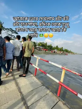 আজকে ভেবে দেখলাম ৪টা বউ ৪টা হাতপাখা, ৪দিকে থেকে শুধু বাতাস আর বাতাস আহা কি শান্তি 🙃@TikTok @TikTok Bangladesh 