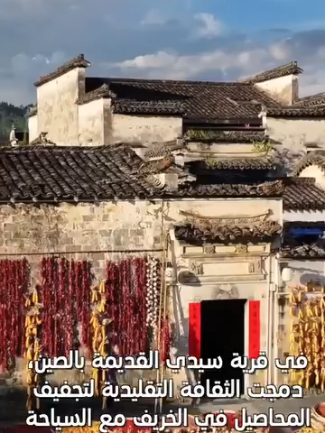 في قرية سيدي القديمة بالصين، دمجت الثقافة التقليدية لتجفيف المحاصيل في الخريف مع السياحة، حيث تم صنع مجسم تنين ذهبي من الذرة، واستخدمت شعيرات الذرة كشارب والفلفل الأحمر كلسان، ما جذب عددا كبيرا من الزوار لمشاهدته. #MeetChina #ChinaTravel