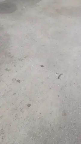 #Şemdinli 😎💥 Migros depo #keşfetteyizzzbeniöneçıkar🔥❤️☀️💚✌️✌️✌️✌️ 