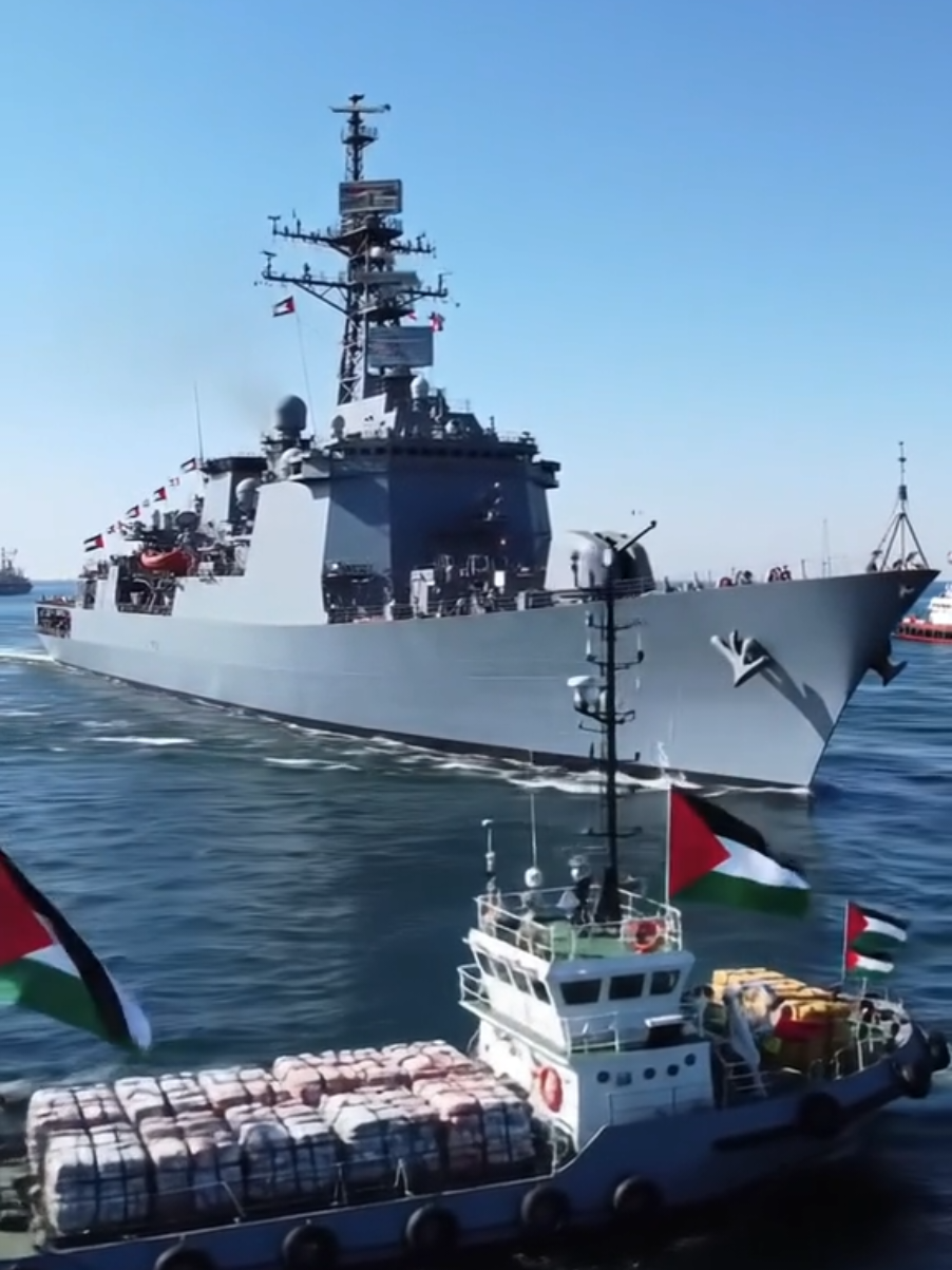 #freefreefalastin🇵🇸🇵🇸🇵🇸🇵🇸🇵🇸  #flotillatogaza #fyp  #viralvideo 