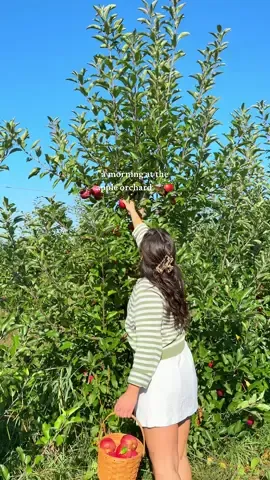 don’t forget to go apple picking before the season is over!!! #applepicking #applepickingseason #autumnoutfits #autumnactivities #fallaesthetic 