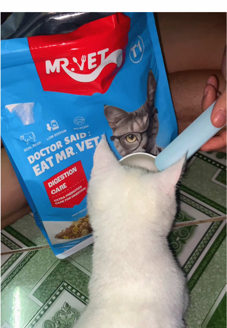 Ăn hạt cũng tốt nhưng nhớ lựa chọn dòng hạt tốt nha sen 😻 #mrvet #hatchomeo #kinhnghiemnuoimeo #meotenshin #xuhuong 