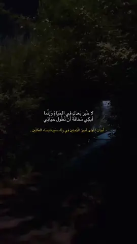 اللهم ارزقنا شفاعة الزهراء عليها السلام 🌱. #الزهراء_عليها_السلام #ذكرى_وفاة_الزهراء #امير_المؤمنين #كربلاء #اكسبلورexplore 