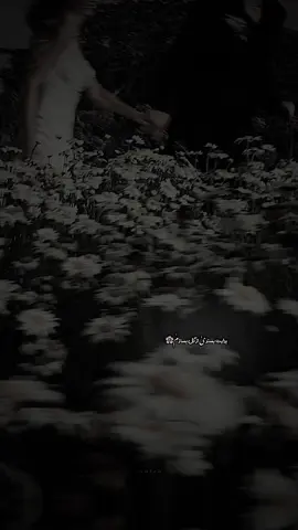 از گل بسازم🌸🥹 » ‏⠀ ⠀ ⠀ ⠀ ⠀ ⠀ ⠀ ⠀ ⠀ ⠀ ⠀ ⠀ ⠀ ⠀ ⠀ ⠀ ⠀ ⠀ ⠀ ⠀ ⠀ ⠀ ⠀ ⠀ ⠀ ⠀ ⠀ ⠀ ⠀ ⠀ ⠀ ⠀ ⠀ ⠀ ⠀ ⠀ ⠀ ⠀ ⠀ ⠀ ⠀ ⠀ ⠀ ⠀ ⠀ ⠀ ⠀ ⠀ ⠀ ⠀ ⠀ ⠀ ⠀ ⠀ ⠀ ⠀ ⠀ ⠀ ⠀ ⠀ ⠀ ⠀ ⠀ ⠀ ⠀ ⠀ ⠀ ⠀ ⠀ ⠀ ⠀ ⠀ ⠀ ⠀ ⠀ ⠀ ⠀ ⠀ ⠀ ⠀ ⠀ ⠀ ⠀ ⠀ ⠀ ⠀ ⠀ ⠀ ⠀ ⠀ ⠀ ⠀ #fyp #viral #foryou #viral_video #growmyaccount 