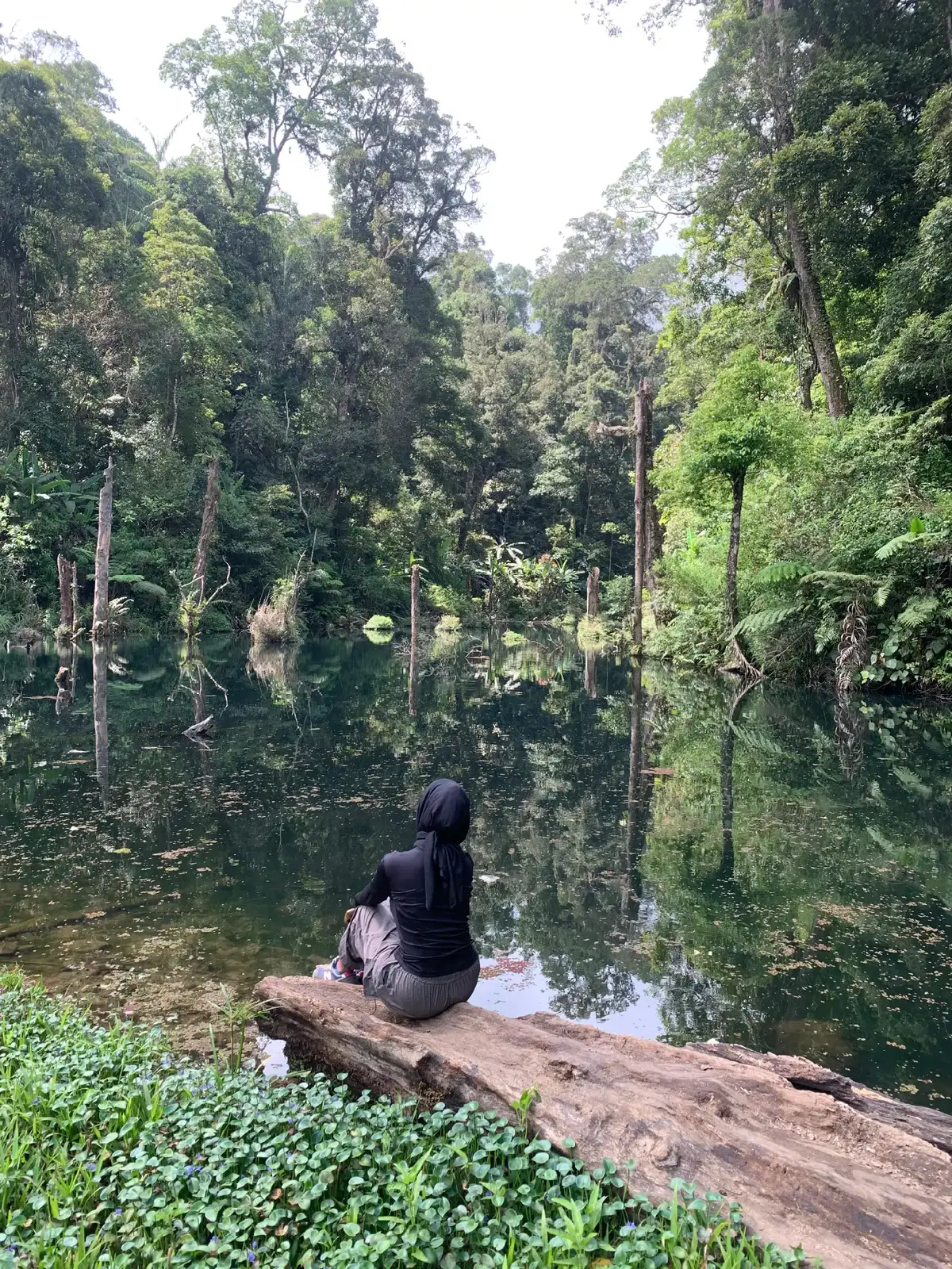 alam setenang itu ya#fypp #foryoupage #gunung #fomo #galaubrutal 