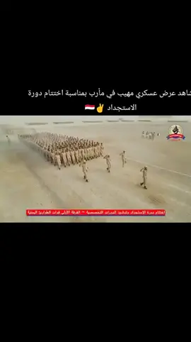 #اليمن🇾🇪 
