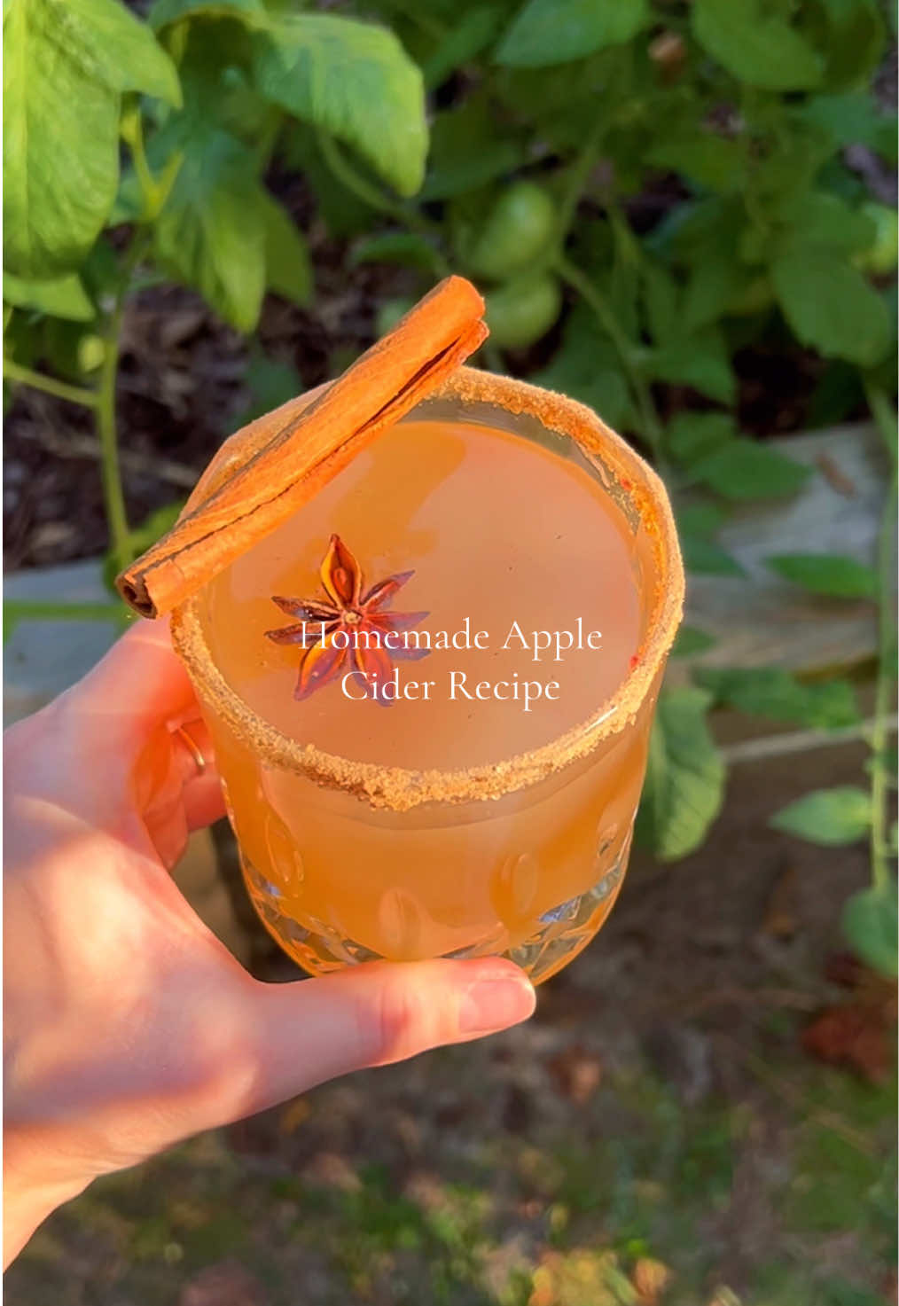FULL RECIPE Ingredients - For the Apple Cider: * 3 lbs honeycrisp apples (1360g) * 2 tbsp dark brown sugar (30g) * ⅓ cup granulated sugar (71g) * 2 large cinnamon sticks (13g) * ½ tsp ground allspice (3g) * 10 cups water (2365ml) For the Garnish: * ¼ lemon for lining the rim * @McCormick Spices Apple Cider Finishing Sugar for the rims * 1 small cinnamon stick * 1 star anise 1. Wash, core, & slice the honeycrisp apples into large chunks (keep the peels on) 2. Place all of the sliced apples into a large pot or dutch oven (make sure it has a tight-fitting lid) 3. Add the granulated sugar, brown sugar, allspice, cinnamon sticks, & water. If you would like your apple cider to be a bit thicker/richer than mine, I would recommend only adding 8 cups of water instead of 10 4. Give it a good stir to ensure everything is mixed well 5. Place the pot over medium/high heat on the stove & bring to a boil. Allow this to boil for 30-60 seconds, turn the heat to low so that it’s simmering, & cover the pot with the lid 6. Keep it at a simmer for 3 hours, occasionally stirring (I like to gently stir it once every hour) 7. After 3 hours, remove the lid and continue to simmer for ~30 minutes (this will help to evaporate some of the water as you don’t want it to be too watered down) 8. Remove the pot from the heat & remove all of the solid pieces (apple chunks & cinnamon sticks). 9. At this point, you can discard the cinnamon sticks & use an immersion blender to blend the apple chunks into homemade apple sauce. You can also add some ground cinnamon while blending the apples for cinnamon apple sauce. 10. Place a strainer over a large bowl & pour the cider into the bowl through the strainer (this will catch any extra pieces that you don’t want in your drink) 11. Take a clean glass and line the rim with lemon juice 12. Dip the rim into the McCormick Apple Cider Finishing Sugar so that it’s coated well. 13. Carefully pour the apple cider into each glass & garnish with 1 small cinnamon stick & 1 star anise (optional). 14. If you would like to serve your apple cider iced, allow the cider to cool off before adding the ice cubes & serving #applecider #fallrecipes #fallbaking #EasyRecipe #mocktail 