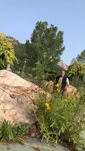 中国功夫十八般武艺每天更新 #martialarts #JackieChan #Chinese Kung Fu#kungfu