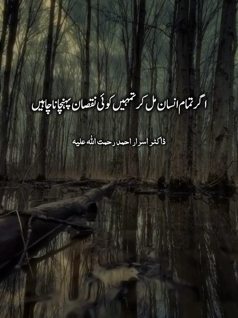 اگر کوئی انسان تمہیں نقصان  #islamic_video #viral #drisrarahmad #drisrarahmedspeeches 