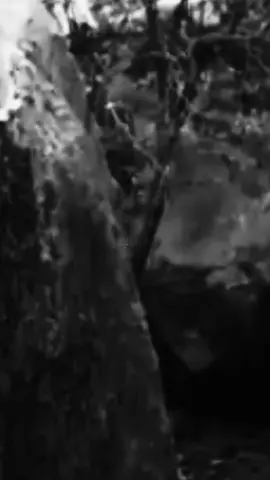 #صدام_البدر_⚔️_غليص_ولد_رماح_دواس_الظلماء🔥 