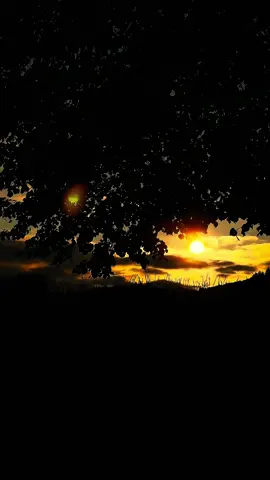 Guten Abend ❤️🎸🎷🍂🍁#blues #traveltiktok #naturevideos #nature #free 