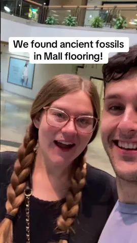 We found ancient fossils in tile flooring at the mall! #mesa #arizona #superstitionspringsmall #mall 