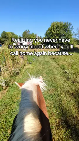 He and his brother are our logo 🦄 #horsetok #horsesoftiktok #nemothepony #haflinger 