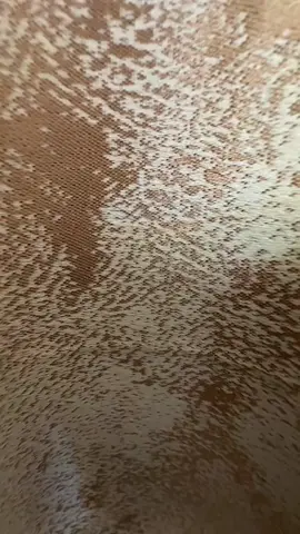 Crafting space that inspire and comfort #popoelectandinteriordecor #500kviews #interiordecor #kwasu #lシ 