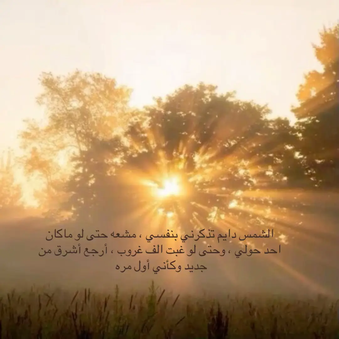 #اكسبلورexplore #capcut #لايك 