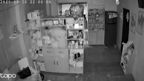 Grabi ka kusog sa linog, until now gi nerbyos ug nagkurog pami dri😭  Keep safe everyone, Papa God please protect us always 🙏🏻 Aylang ii mind ang sound sa video kay nagtyabaw jd ko ani.  CCTV footage sa amoa house grabi ka kusog. Bahala nana ang gamit bsta safe lang tang tanan 🙏🏻😭😭