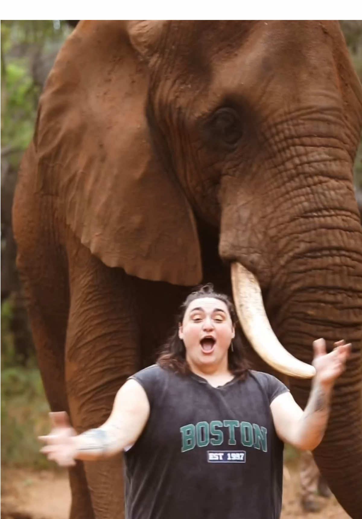 do we think the elephant liked the song orrrrrrrrrrrr?? #elephant #music #homesick #newsong 