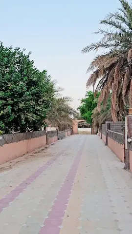 للبيع في مزرعه في الشراع 15 الف متر المزرعه في عينين و كهرباء و بركه مجالس  موقع ممتاز من الشارع العام  بخصوص السعر التواصل معي عن طريق الواتساب  0590002216 #2025newyearsales 