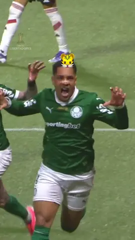 SOLTARAM A CARTA! 🃏🐯 | @SE Palmeiras  #palmeiras #vitorroque #Libertadores #GloriaEterna 