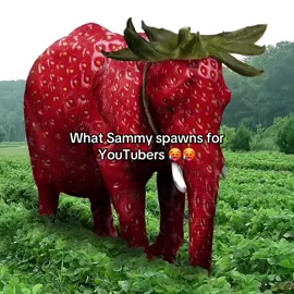 Spawn better brianrots Sammy 😭😭 #fyp #viral #trending #sab