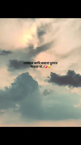 তোমাকে আমি কখনো ভুলতে পারবো না..!❤️‍🩹😅#foryou #fyp #capson #emotionalvideo #ক্যাপশন @TikTok Bangladesh @TikTok 