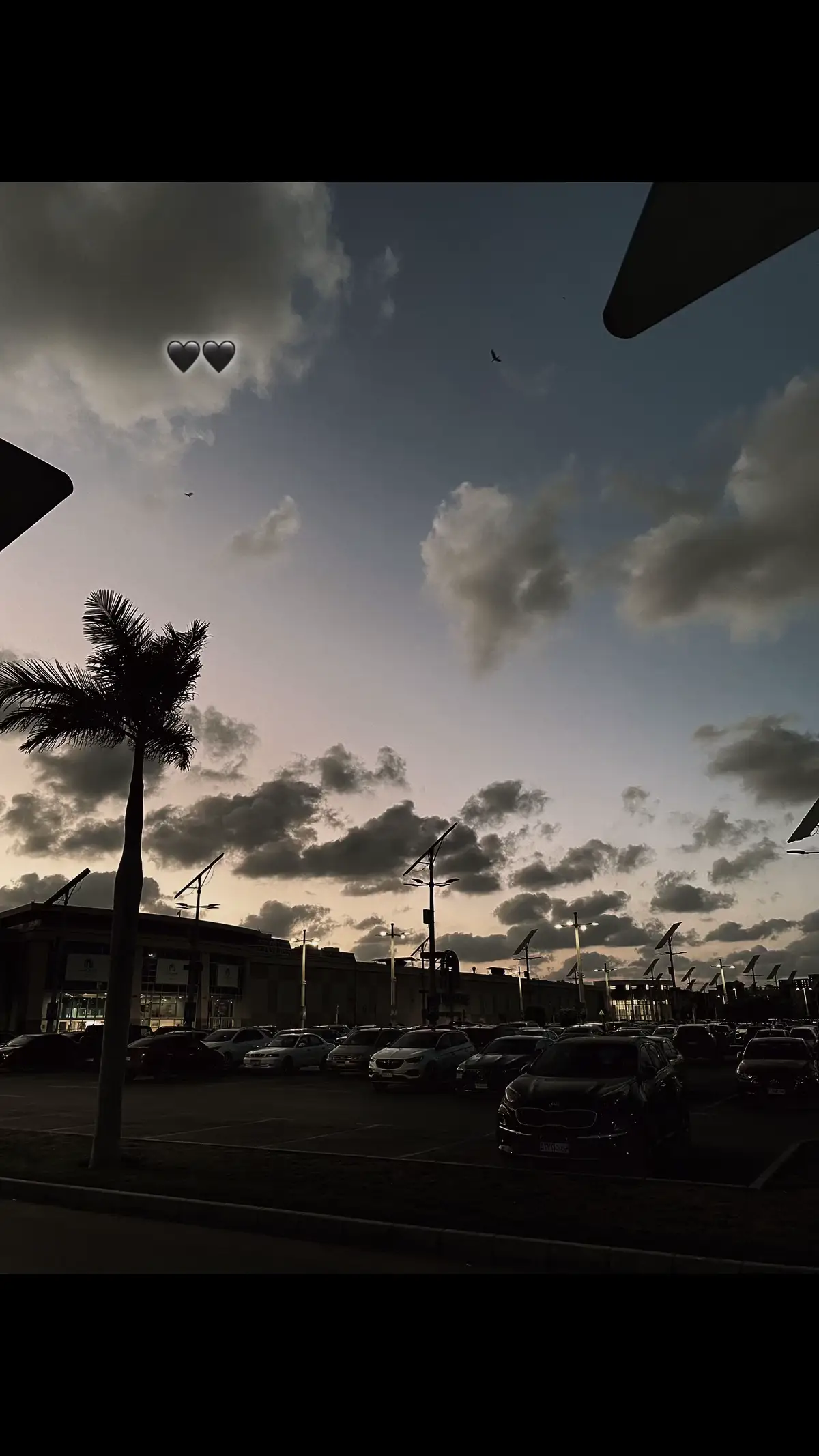 #fyyyyyyyyyyyyyyyy #fyp #trending #تامر_عاشور 