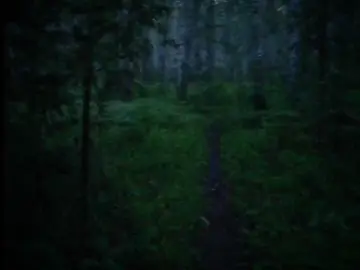 В эту темную ночь:)