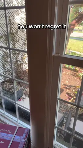 Mambo #bamboo #underwear #mensfashion #falldealsforyou 