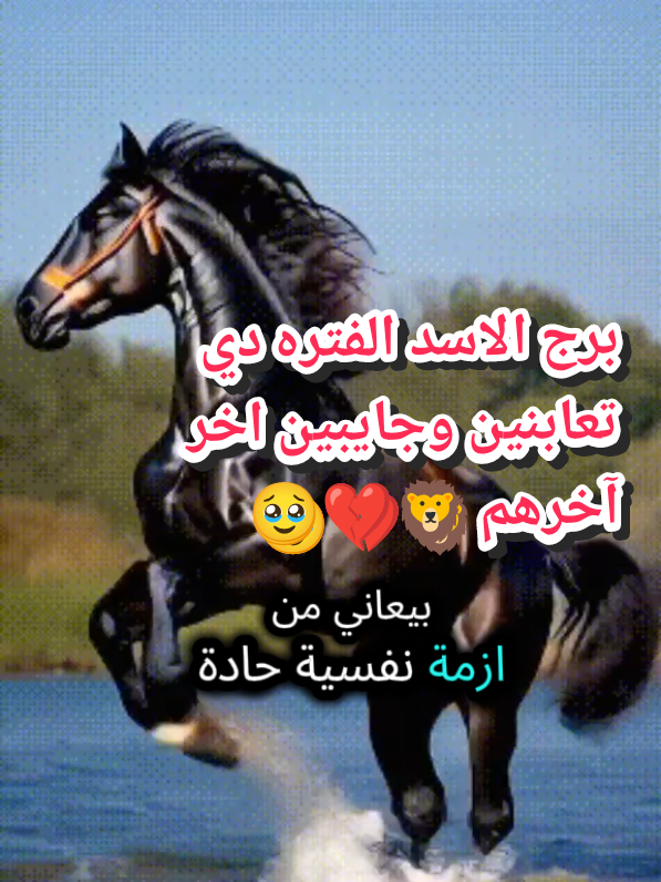 #انثي_الاسد👸🐆 #جيش_الاسود #الاسد #برج_الاسد #برج_الاسد🦁 