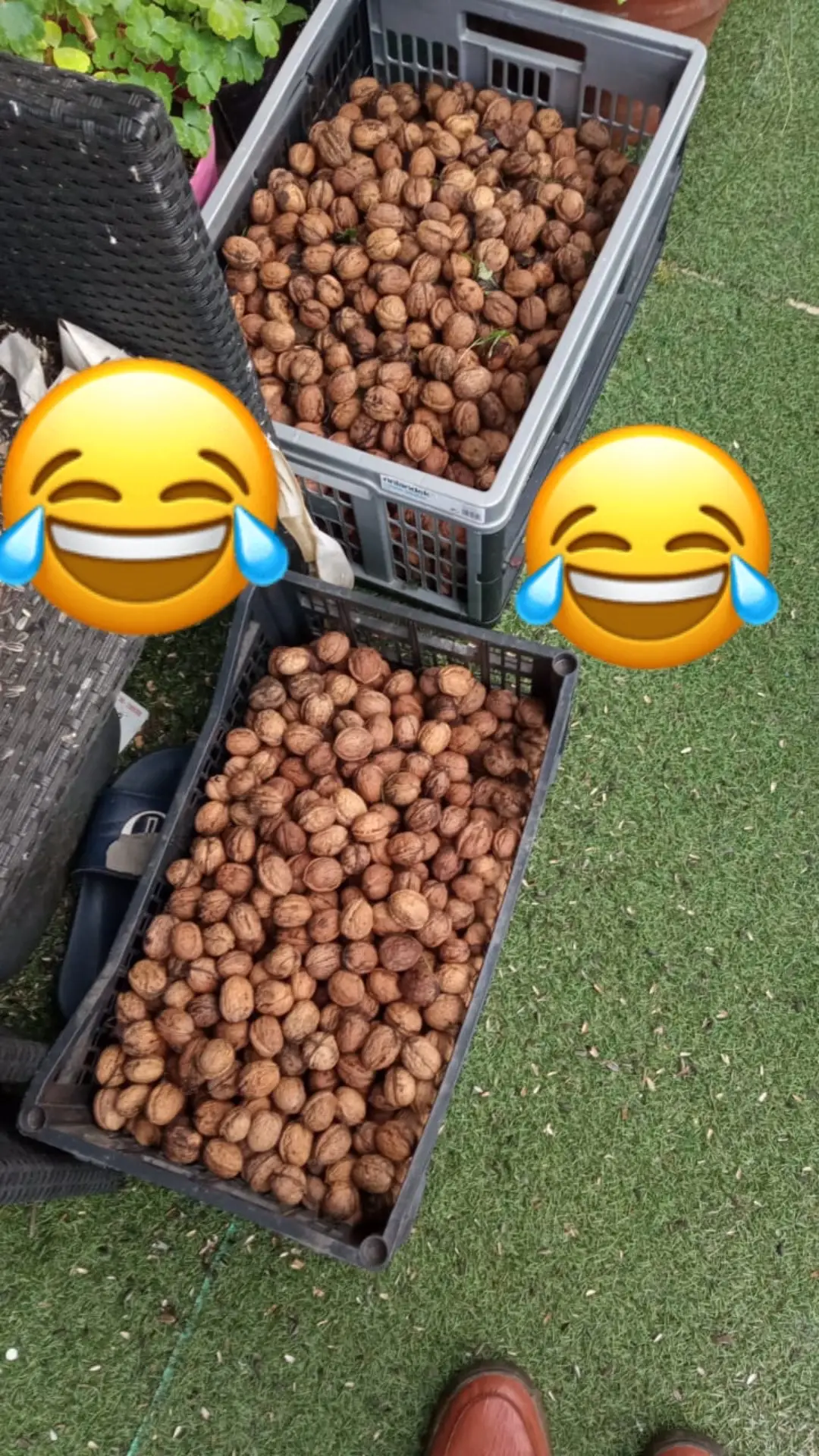 pa dir ke ghuzan free na melavege 😂😂 #Dir #ghuzan #watan #kaly #mena #jwand #hometown #unfreezemuaccount #foryoupage #viral 