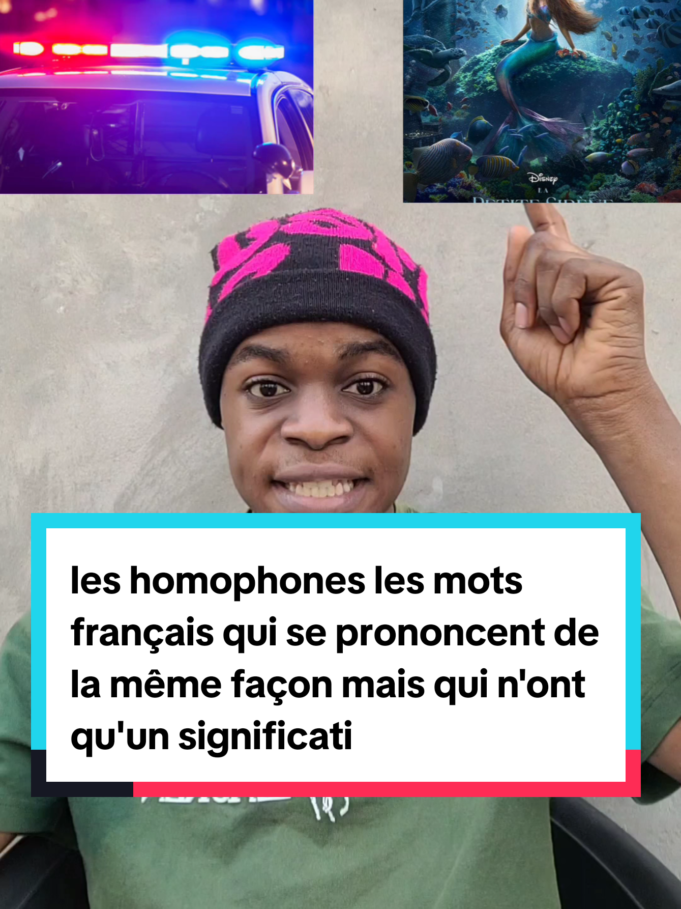 les homophones les mots français les mots qui s'écrivent de la même façon et qui se prononce de la même façon mais qui n'ont aucun signification  #homophone #apprendresurtiktok #ressemblance #motivation #fyp 