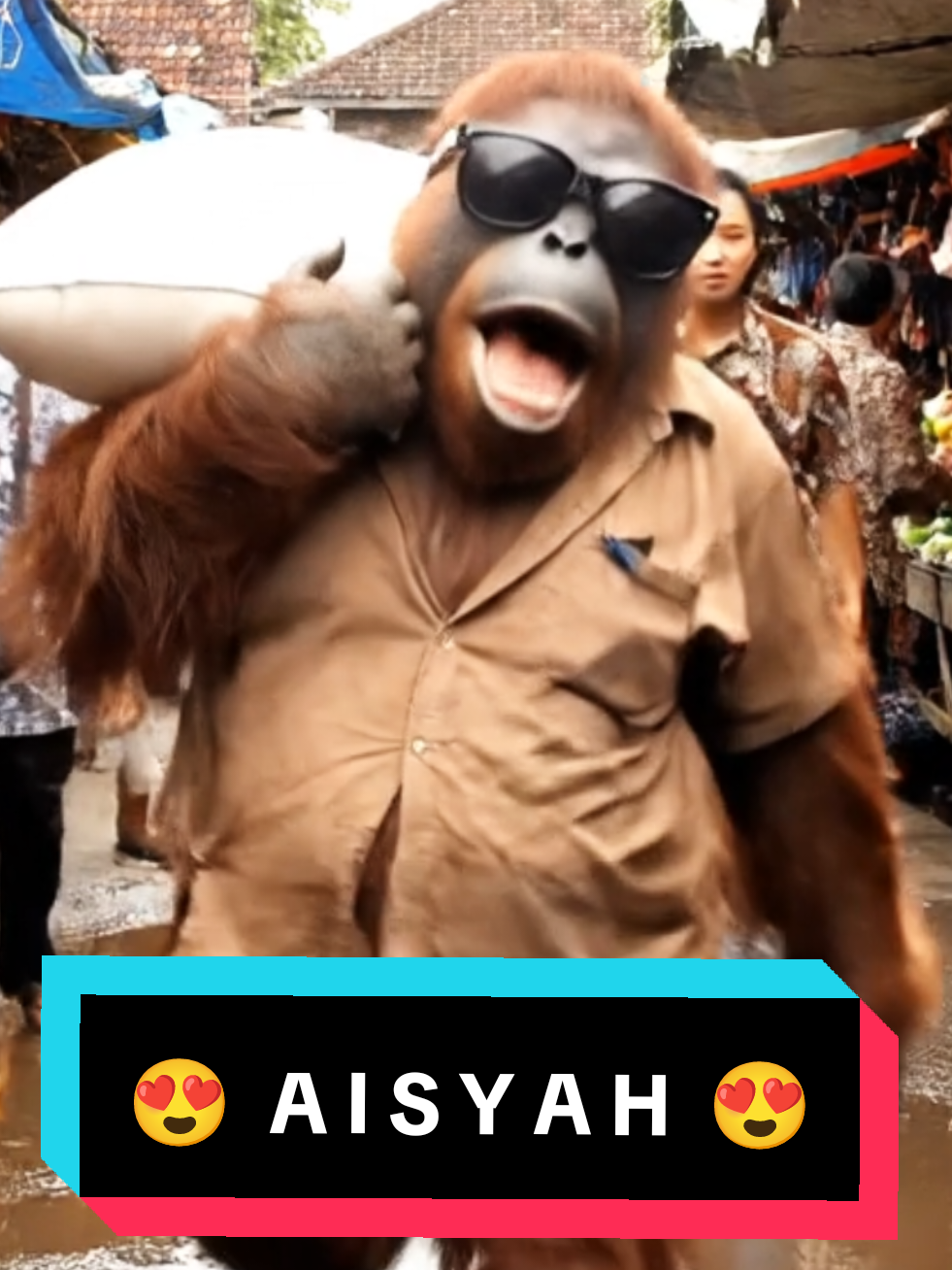 judulnya AISYAH ayo kita nikah #orangutan #veo3 #videoai #ai #aivideo 