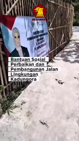ini baru wakil rakyat 