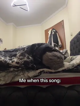 Don’t tell me I‘m the only one😭