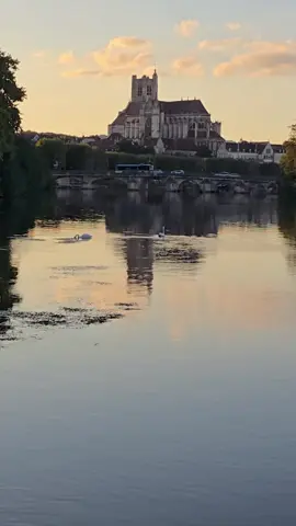 #اللهم_صل_على_محمد_وآل_محمد #الهدوء_راحة_نفسية #الشعب_الصيني_ماله_حل😂😂 