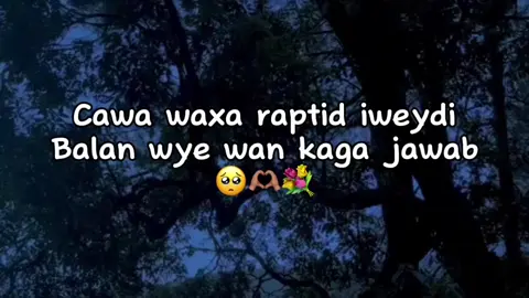 iweydii🥺💐#jawi_bila🌊❤️🌴#jawiga_jawiyada_eryaday🌴❤️ 🥲#mohamed🤤💦 